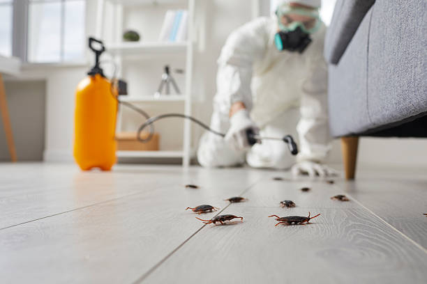 Trusted Cockroach Control service in Cresco, IA - Nex Pest Control